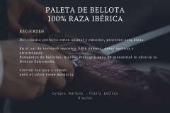 Paleta-iberica-100-bellota