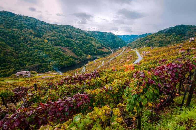 Vinos de la Ribeira Sacra