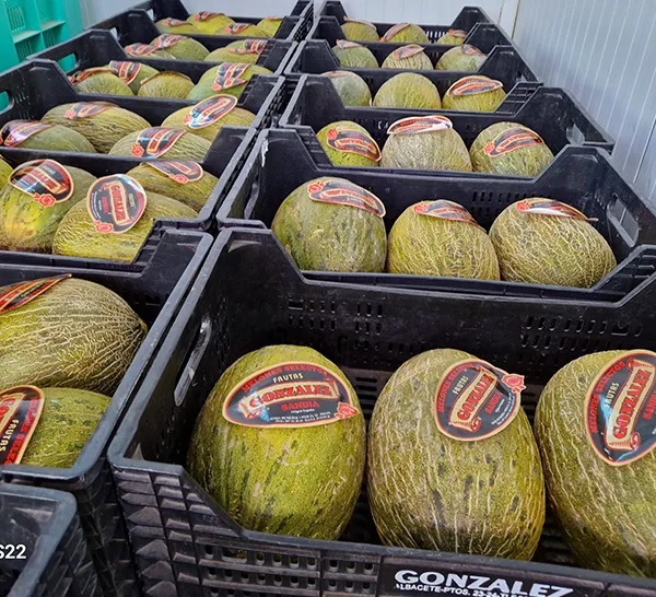 Frutas González Albacete, S.L.