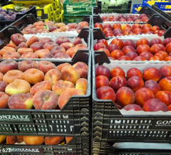 Frutas González Albacete, S.L.