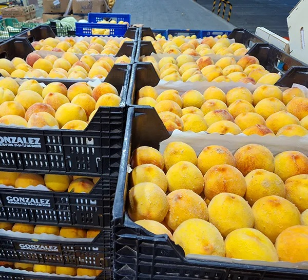 Frutas González Albacete, S.L.