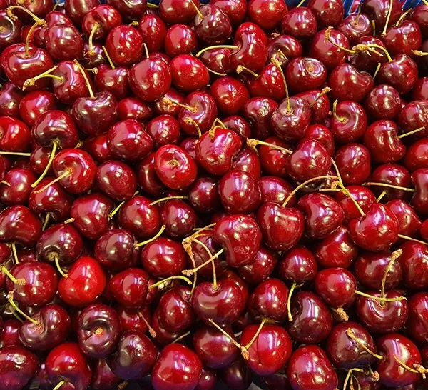 Frutas González Albacete, S.L.