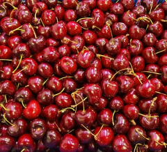 Frutas González Albacete, S.L.