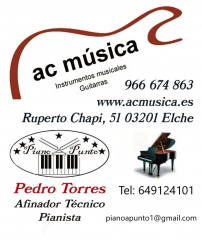 Afinador tecnico de pianos