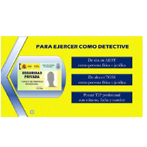 DETECTIVES PRIVADOS ESPAÑA SUR S.L.