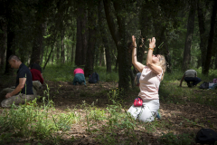 Ecoterapia, bano de bosque