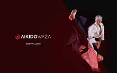 Aikidoeazacom