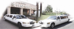 Hers & his  wedding limousine full decor