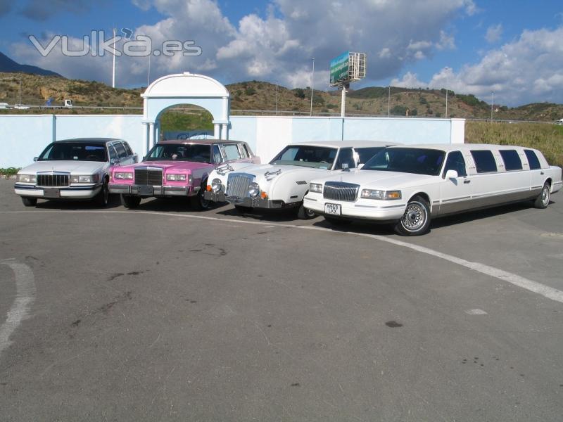  a few of our limo selection for all occations 24/7