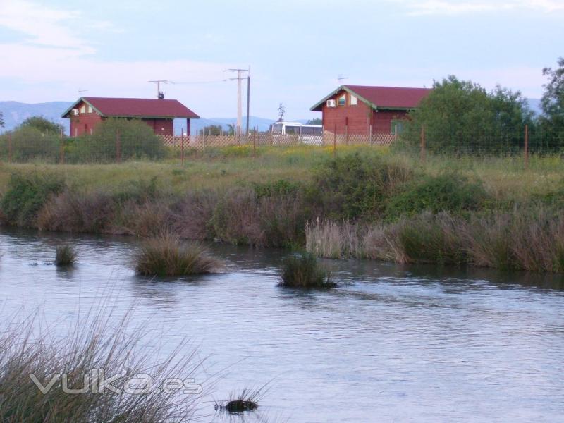 desde el río