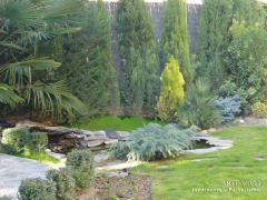 Foto 52 arbustos en Madrid - Arte Vivo Jardineria y Paisajismo sl
