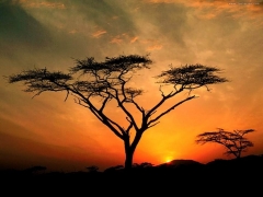 Africa, viajes bahiatour (la linea de la concepcion)