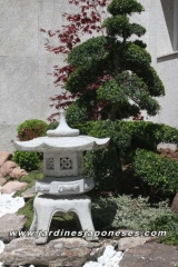 Jardin japones en la dehesa - madrid