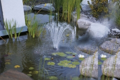Colocacion de elemento de decoracion en estanque de lateral de chalet privado