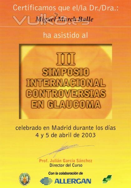 DIPLOMA DE ASISTENCIA AL 