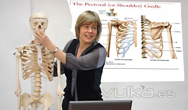 Clase de anatomía