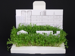 Postal jardin modelo city de postcarden