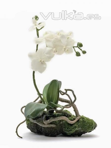 orquidea artificial con cepellon. oasisdecor.com  orquideas artificiales de calidad