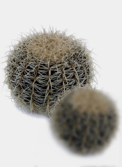 Cactus artificialoasisdecorcom cactus artificiales de calidad