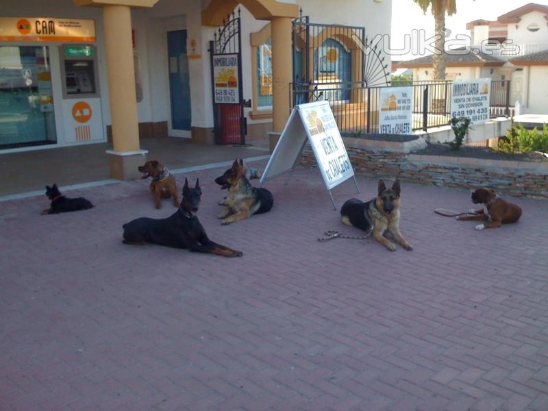 ENTRENAMIENTO EDUCACION URBANA