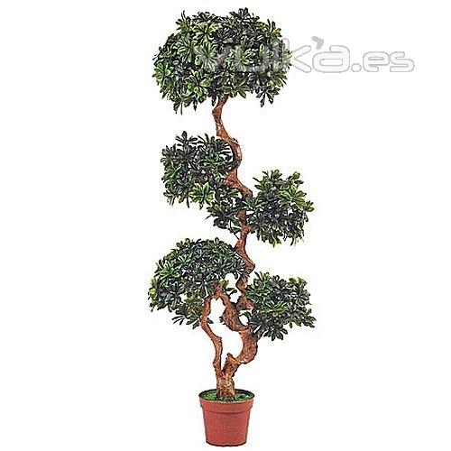 Árboles artificiales Topiary pittosporum