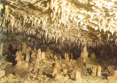 La cueva de los franceses