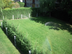 Foto 3 fertilizantes y abonos en Girona - Jardineria Isabel