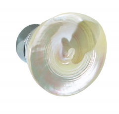 Conchas como tirador para puertas de cristal y cabinas de duchas tectus pyramis pulido diametro 65 mm