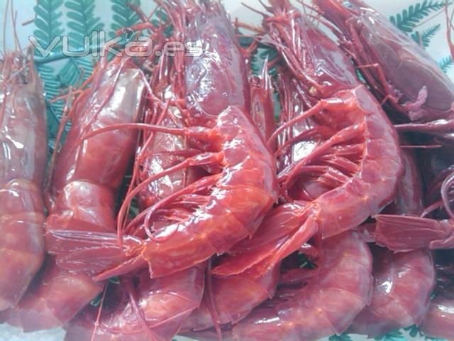 carabineros