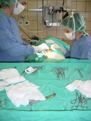 Campo quirurgico esteril