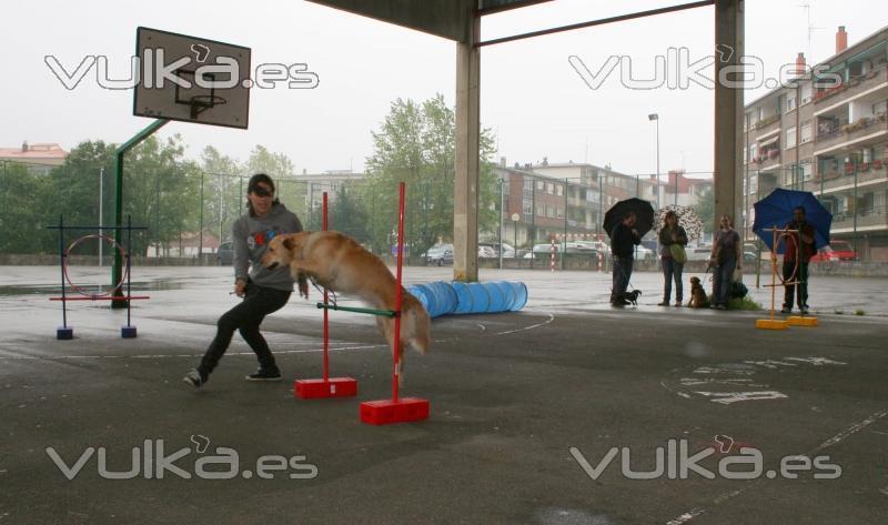 Agility Guipuzcoa,San Sebastian,Irun,ETOLCANIN