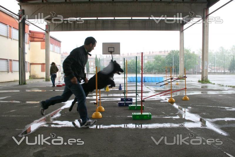 Agility Guipuzcoa,San Sebastian,Irun,ETOLCANIN