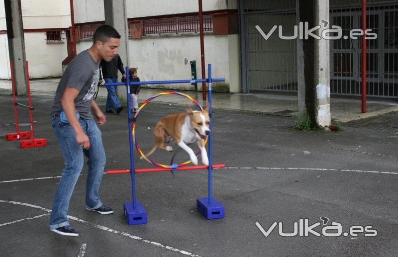 Agility Guipuzcoa,San Sebastian,Irun,ETOLCANIN