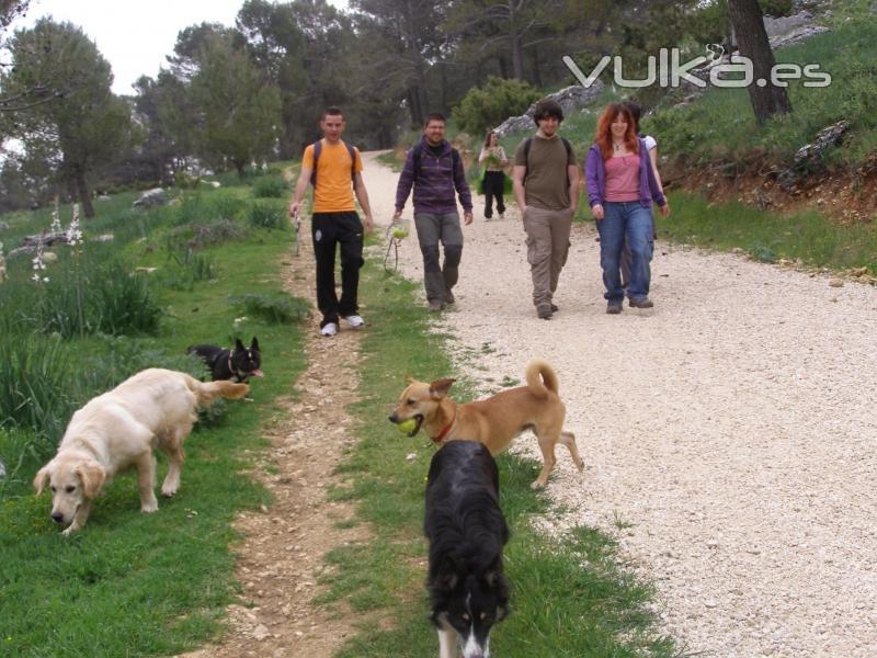 Excursión de Socialización de perros realizada por el entorno natural de El Neveral (Jaén)