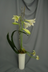 Exclusivo arreglo floral compuesto por lilium longiflorum, aspidistra y ornitogalum