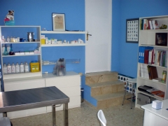 Foto 5 veterinarios en Huelva - Centro Veterinario Vital Pets