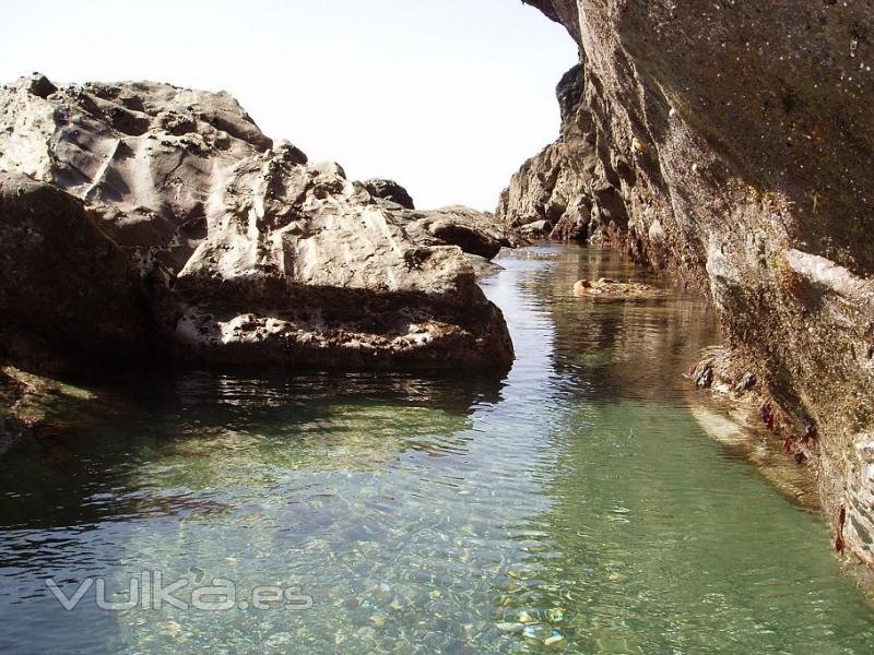 También realizamos Talleres y cursos en la naturaleza