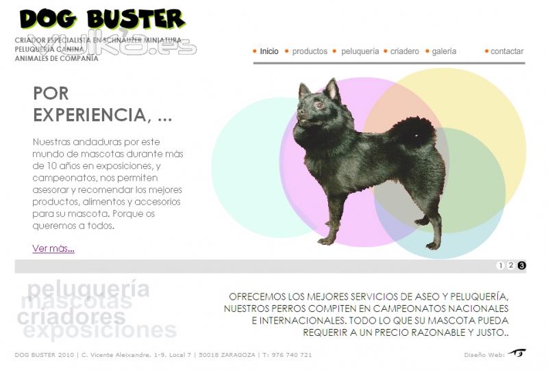 Diseño Web de peluquería canina y criador de Schnauzer miniatura sal y pimienta. dogbuster.es