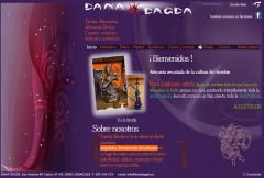 Diseno web de tienda de artesania etnica wwwdanadagdaes