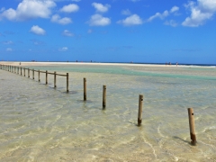 Playa de sotavento en fuerteventura aqui se celebran los mundiales de kitesurf