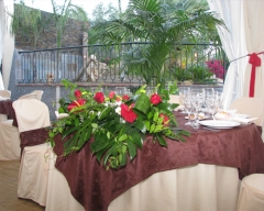 Foto 1011 banquetes - Restaurante los Conejitos