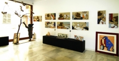 Galeria vidrart