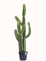 Cactus artificiales de aspecto natural, en articoencasacom