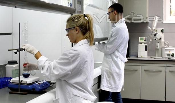 Estudiantes en el laboratorio