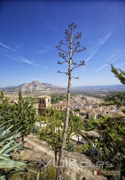 VELEZ-BLANCO-ALMERIA-ANTONIO-SILES-FOTOGRAFO-PAISAJE