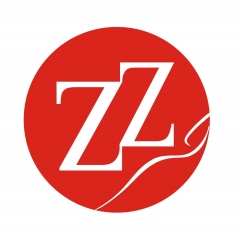 Logo iluzzione