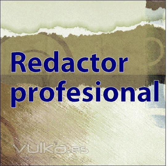 Redactor Profesional