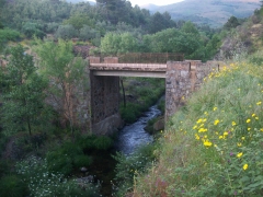 Puente de mariquita