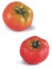 Verduras tomates artificiales de calidad tomates artificiales oasisdecorcom