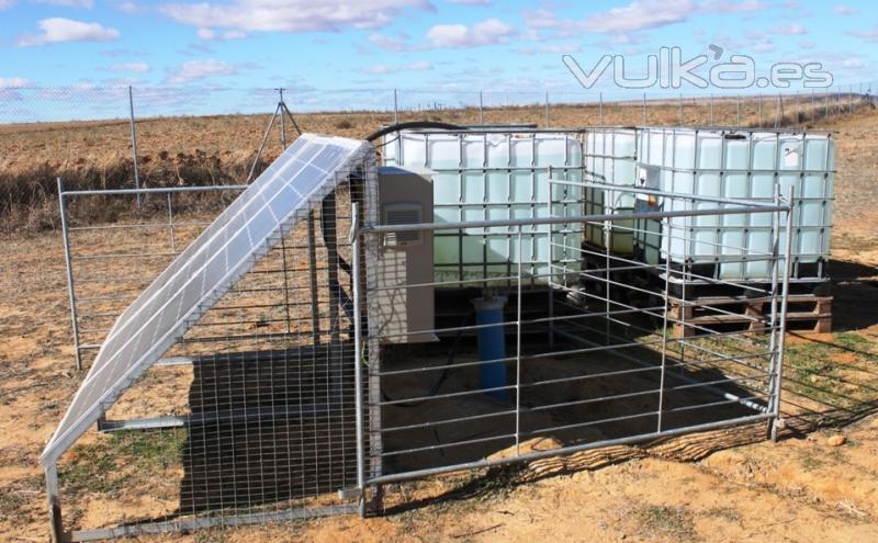 Instalación de bombeo solar para bebedero de granja ovina
